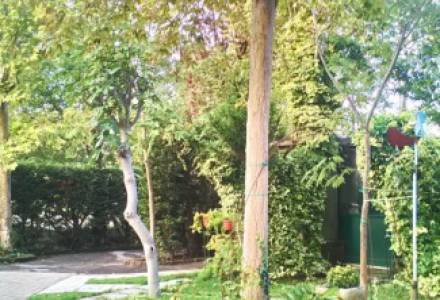vendesi casa singola su ampia area verde in frazione di Carpi