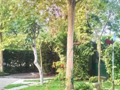vendesi casa singola su ampia area verde in frazione di Carpi - 1