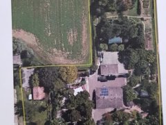 vendesi casa singola su ampia area verde in frazione di Carpi - 17