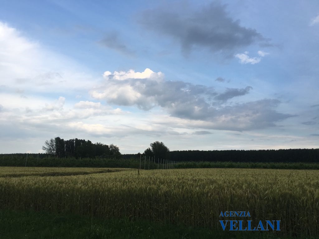 Villa CARPI vendita  Carpi  Agenzia Vellani